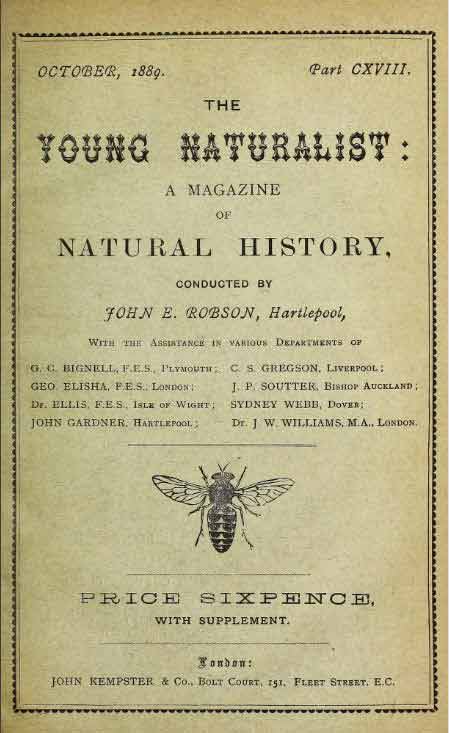 The Young Naturalist magazine 1889. Mary Chorley nee Kimber contributor.