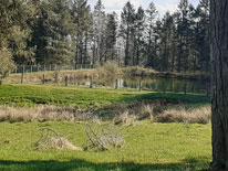 Hartleys Reservoir, Stead - April 2021.
