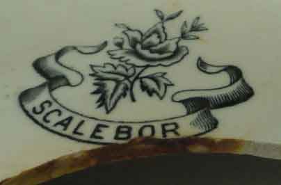 Scalebor Park logo on broken crockery. 