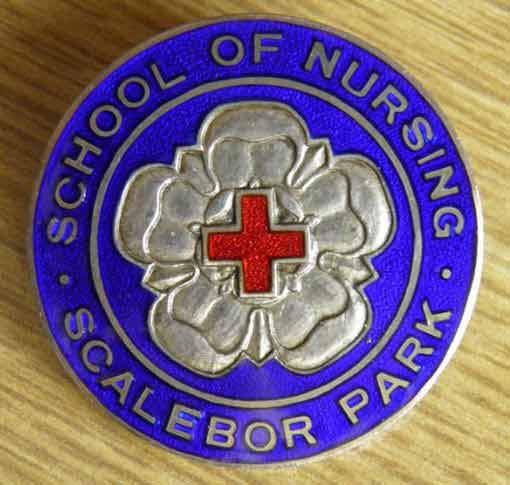 Scalebor Park School of Nursing Uniform Pin.